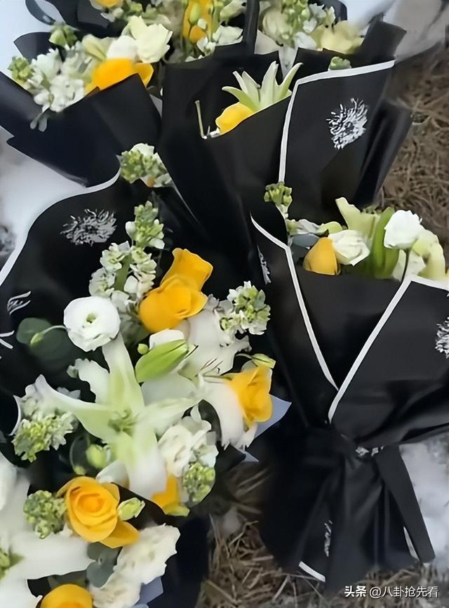 演都不演了！贺娇龙离世仅9天，离谱的事出现	，吴京、成龙都遭殃