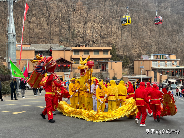 免费吃！免费看！半价玩！栾川竹海野生动物园推出春节巨献