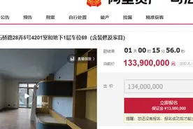 上海汤臣一品一套欠费97万，价值2.387亿的豪宅拍卖，1.735亿成交图片