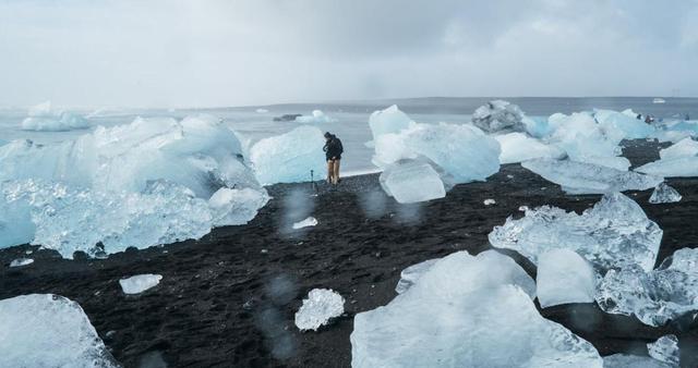 蚊子首次入侵冰岛！最后的堡垒已经陷落？究竟是什么品种？