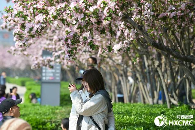 春日河西，这条大道人从众！