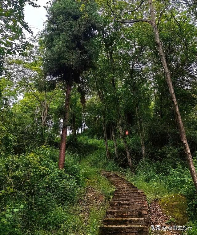 成都彭州5条爆红徒步线路，被严重低估，全部免费，景色秀美！