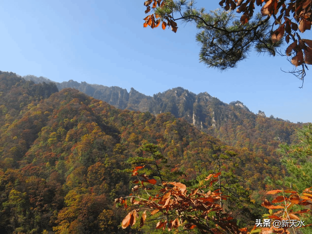 层林尽染秋色醉——精品线路游天水（八）