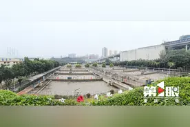 让细菌“自食其力”！重庆污水处理有望实现新突破图片
