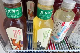 “消失”的东方树叶图片