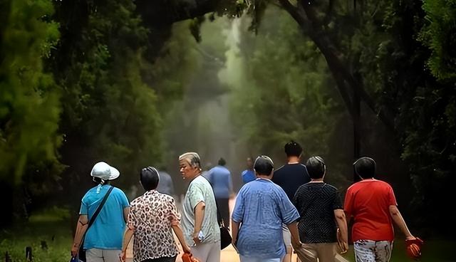 中国将迎来前所未有的死亡高峰，专家得出答案：是这些因素导致的