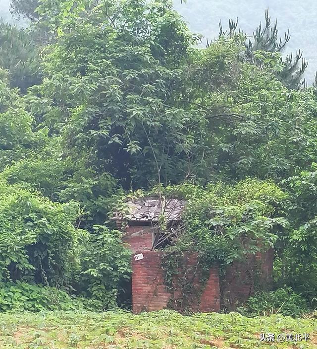 广西南宁市近郊有一座废弃的景区，当初游客日进千人当今寥寥无几