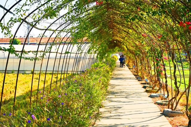 石碣好 “景”!拥抱生态绿地,感受田园风光~