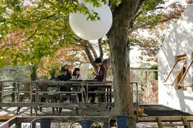 上海二胎夫妻搬进农场：带孩子种地，远远超过学校教育图片