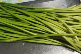 世界上最难吃的菜：蒜苔，山东人在瑟瑟发抖图片