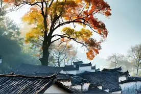 这十件事最损阴德，真别做！做多了影响子孙，不是迷信图片