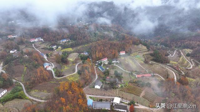 山野秋声