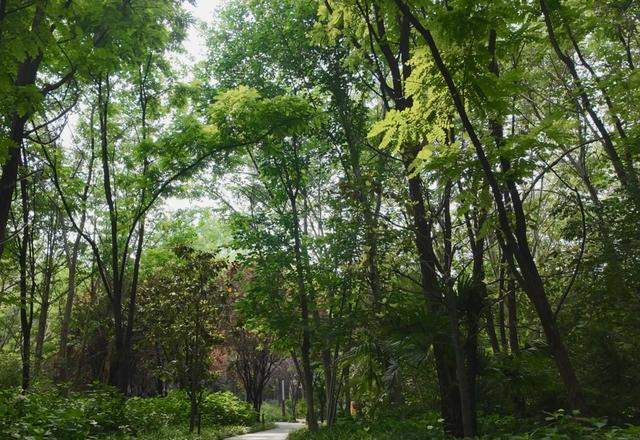 好消息，宿迁又一免费新公园，火了！好玩又好逛，去了，还想去！