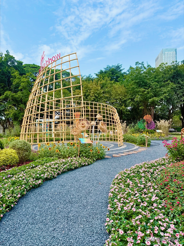 这个周末不如带娃去逛逛这里的花花