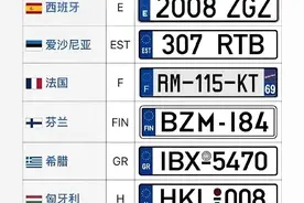 各国车牌竟然这么大差别？各国车牌介绍。图片