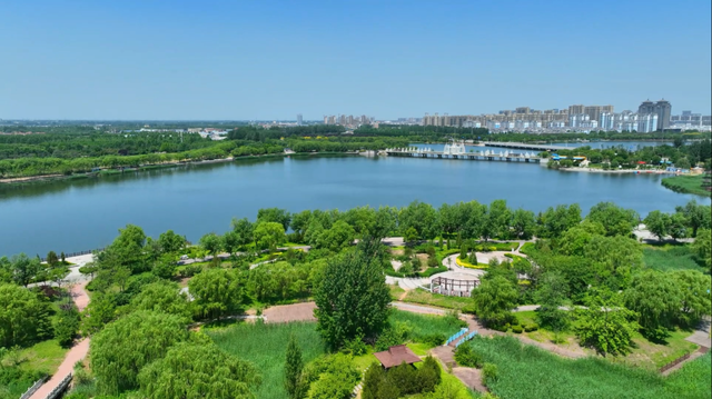 广饶孙武湖生态旅游区，入选全省典型案例！