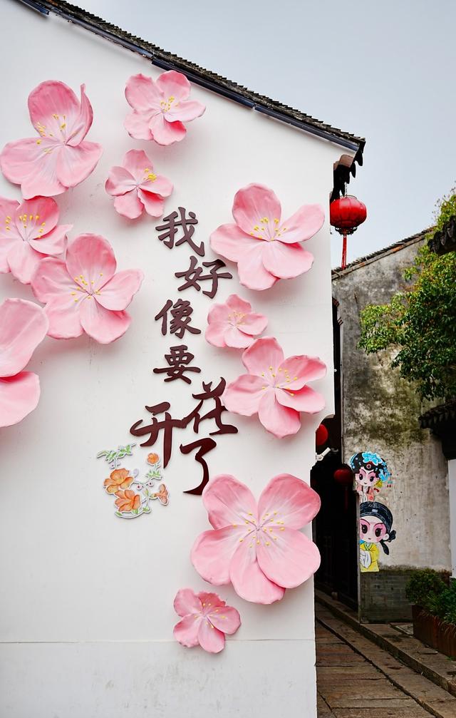 “巴城十二序·桃花赴春约”2026巴城十二花神寻花漫游季启幕