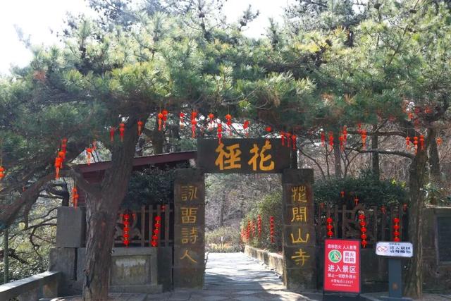 一年一度，免票景区回归！春天去这些地方再合适不过了