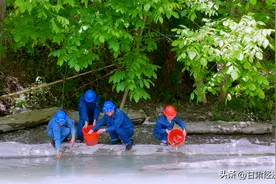 绿色的承诺——甘肃科源电力集团明珠公司小水电减碳背后的生态经济学图片