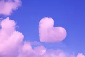 水滴筹语言怎么组织？怎么写效果好？求助文章案例快收藏图片