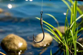 钓草鱼钩子选多大？老钓友实测鱼嘴数据，一钩中鱼不脱钩！图片