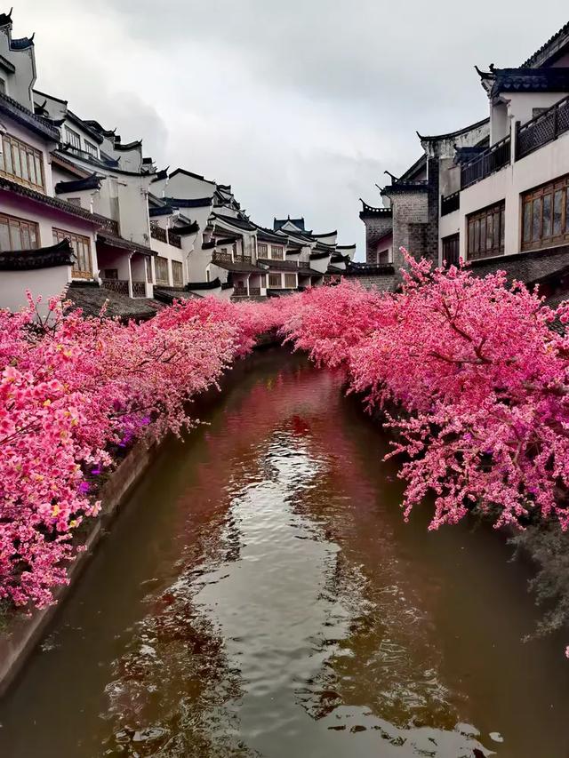 相约在湖州，相聚在梦萦——记原福空医院老战友2025年湖州行