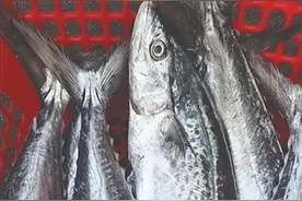 海南常见海水鱼图片