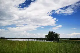 2025年河北固安县（廊坊）市级重点建设项目图片