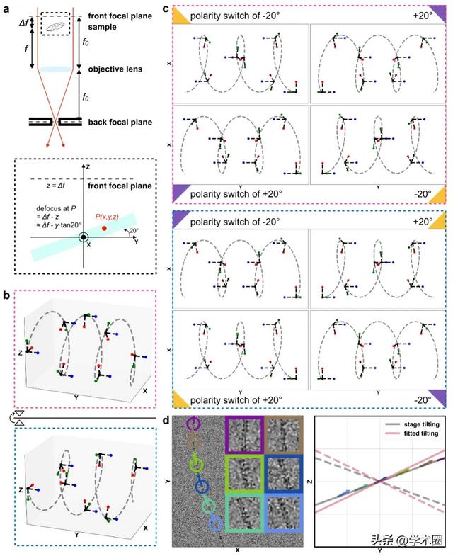 颜宁院士团队连发两篇!