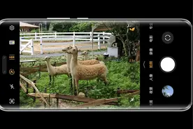 别再瞎拍了！这是一篇送给新手的荣耀Magic6 相机指南图片