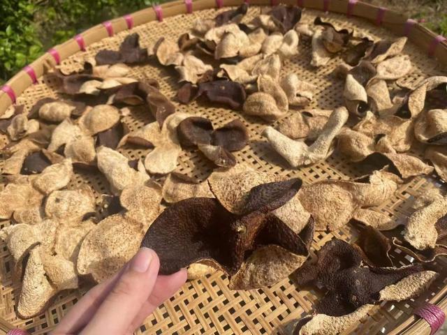 这6样东西没有保质期，过期了也无妨，不要再傻傻地扔掉了！