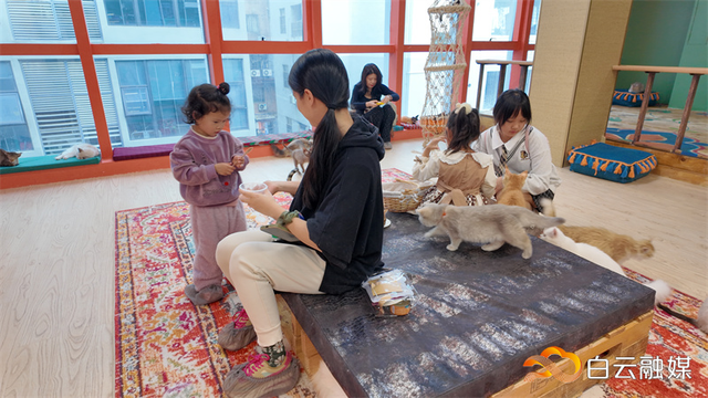 永平街打造都市微度假目的地，培育文商旅融合新质生产力