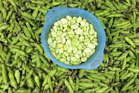 蚕豆再次成为关注对象！医生提醒：吃蚕豆时，要多注意这6点图片