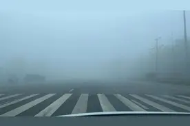 紧急提醒！临沂部分高速入口临时关闭!图片