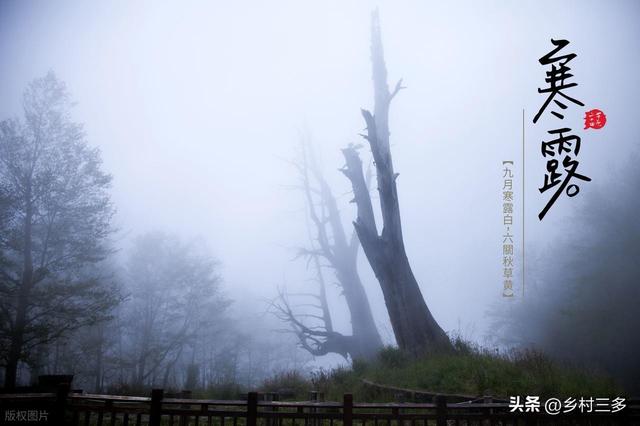 今日寒露，老人说最怕“寒露一日雨”，寒露下雨有啥预兆？