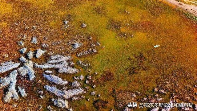 内蒙古杭锦旗：湿地秋景惹人醉