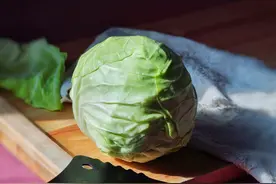 明明长得一模一样，为何一个叫卷心菜，一个叫包菜？原来区别在这图片