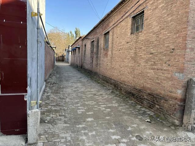 冠县乡韵·贾镇洼里村