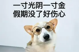 开工上班表情包/打工人回归图片