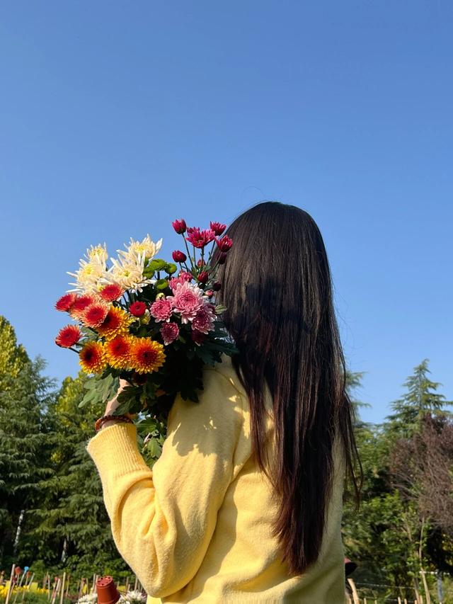 塘坊李的菊花开疯了