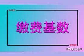 2025年，灵活就业人员按100%档次缴费，一年要交多少钱？图片