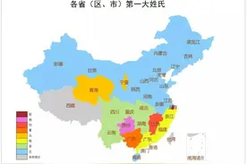 中国主要姓氏各省分布密度图，看看你的姓氏图腾和分布？图片