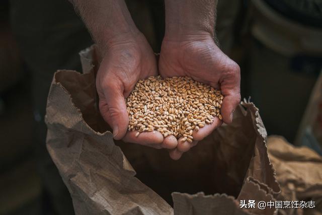 德国巴伐利亚：从烟火麦香到音符跳跃的风味之旅
