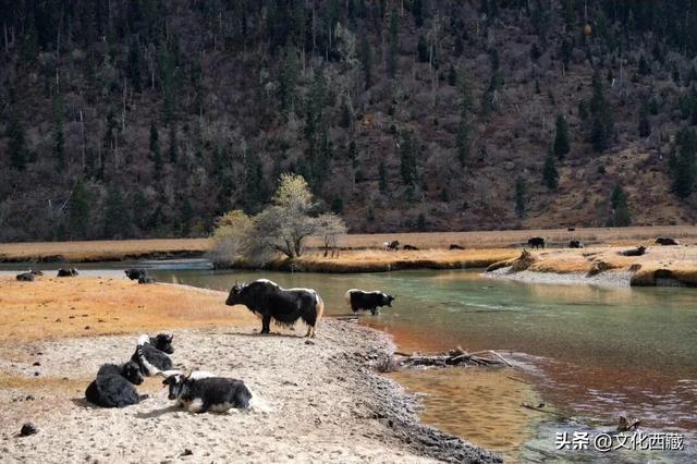 来西藏，一定要选冬天！人间仙境，东方瑞士，我不允许你错过！