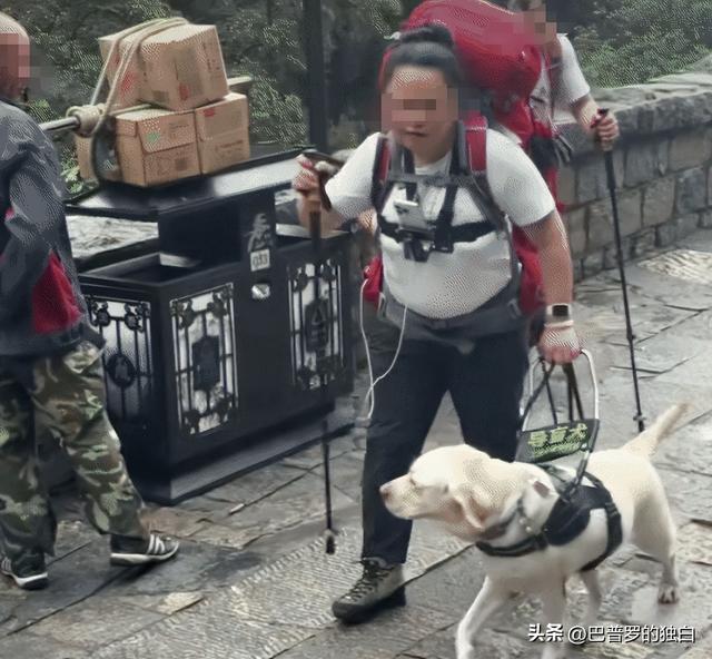 爬泰山的作死夫妻被制裁！导盲犬被收回，身份被扒，家里还有一只