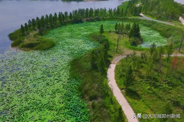 郑州中牟雁鸣湖以“生态+”绘就“城湖共荣”新名片