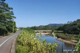 十几年的慢性鼻炎患者—突然找到了好的解决办法图片