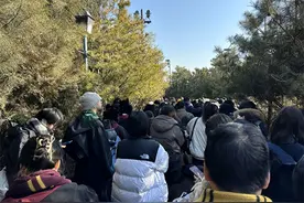 旅行中突发疾病如何应对？专家详解应对措施！图片