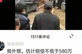 580万天价赔偿？男孩曾推人落水？三人被罚！图片