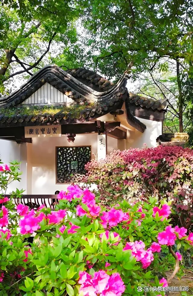 烟火文脉两博弈：惠山古镇免费开放与锡惠片区分级收费的平衡之道